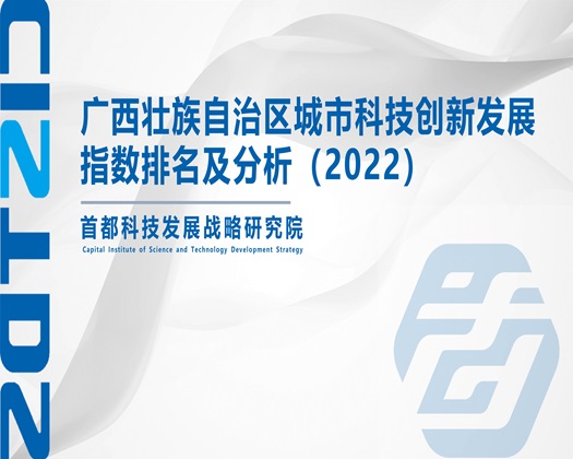 粗直大屌男插女生逼视频【成果发布】广西壮族自治区城市科技创新发展指数排名及分析（2022）